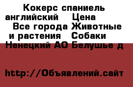 Кокерс спаниель английский  › Цена ­ 4 500 - Все города Животные и растения » Собаки   . Ненецкий АО,Белушье д.